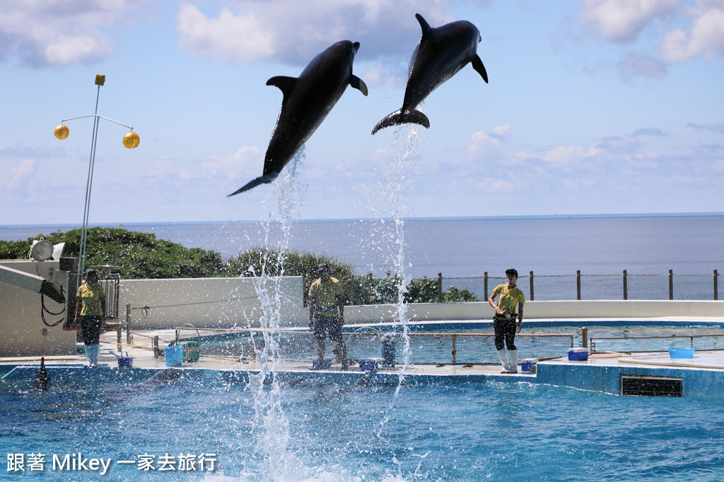 【 沖繩 】 美ら海水族館 - 海豚表演