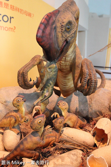 【 台中 】國立自然科學博物館 - 常設展 - 恐龍廳