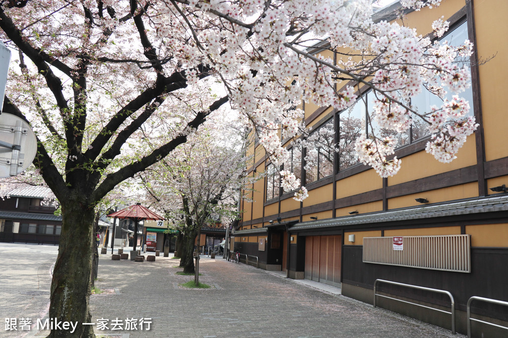 【 京都 】祇園、鴨川 - 櫻花